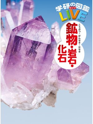 cover image of 鉱物・岩石・化石